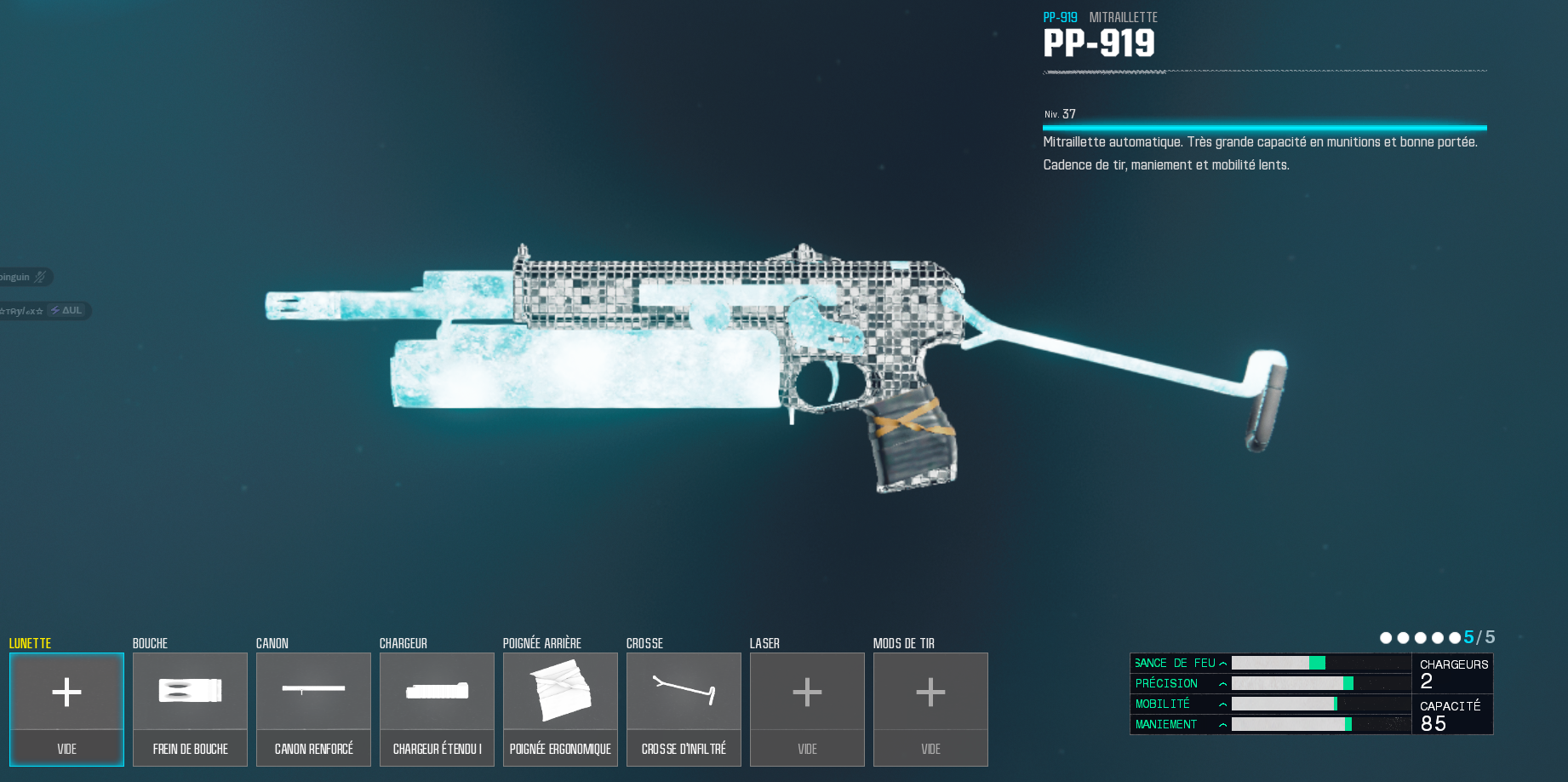 PP 919